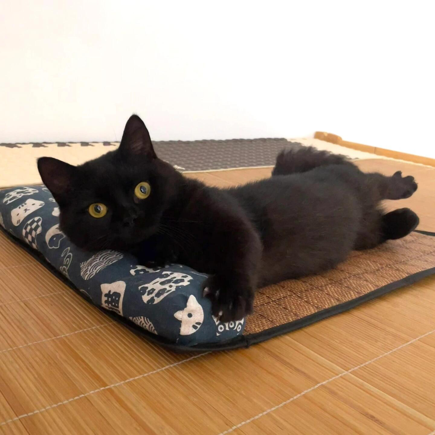 πΎ Pet Cooling Mat with Pillow β Comfortable Summer Bed for Cats