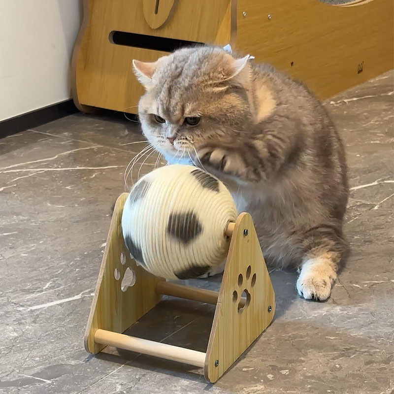 πΎ Pet Cat Scratching Ball β Fun & Durable Play Toy