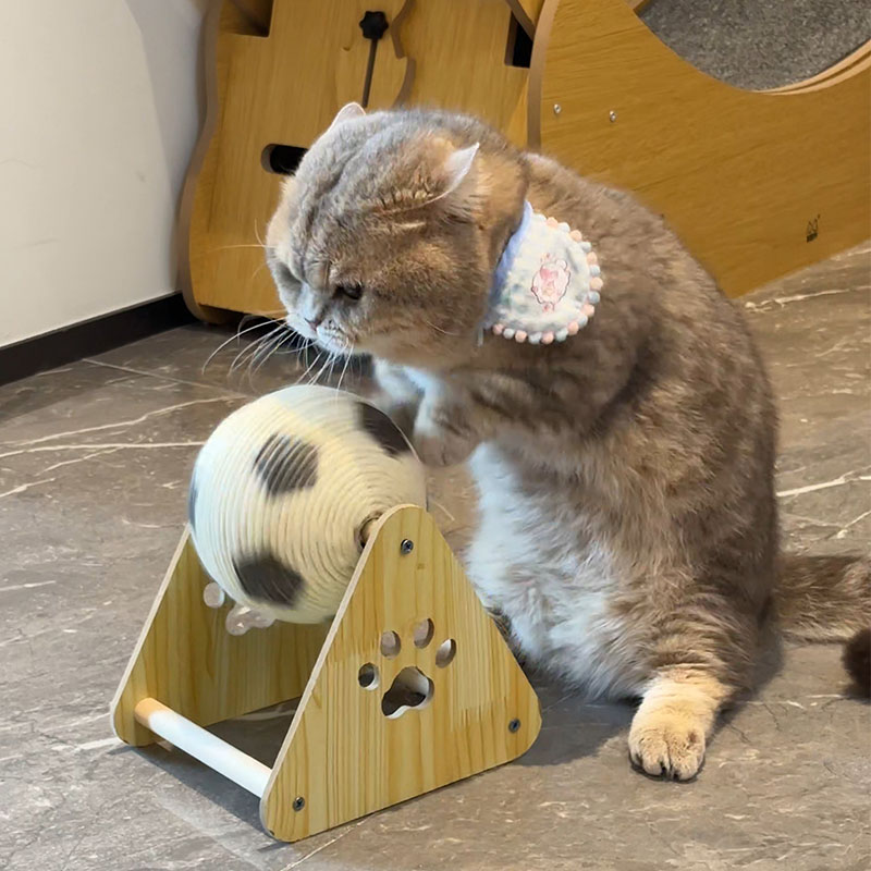 πΎ Pet Cat Scratching Ball β Fun & Durable Play Toy