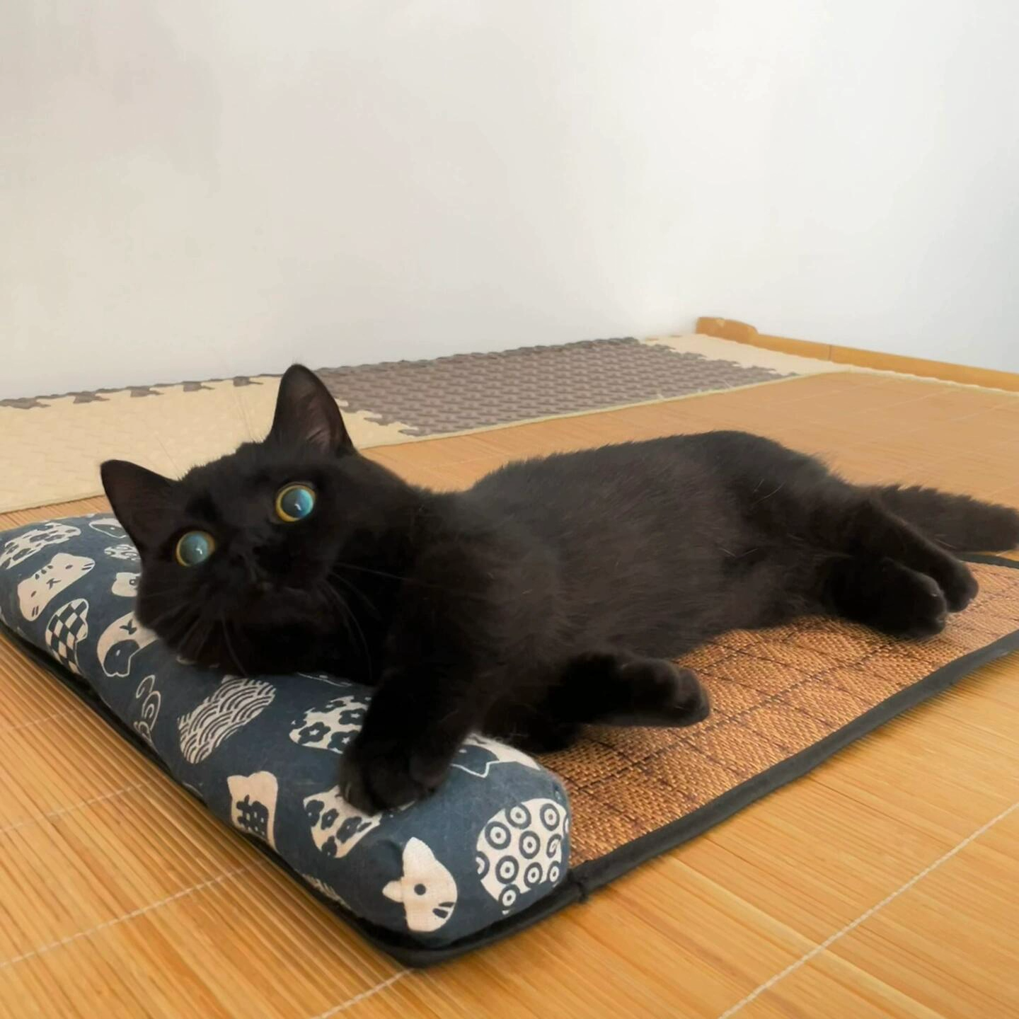 🐾 Pet Cooling Mat with Pillow – Comfortable Summer Bed for Cats