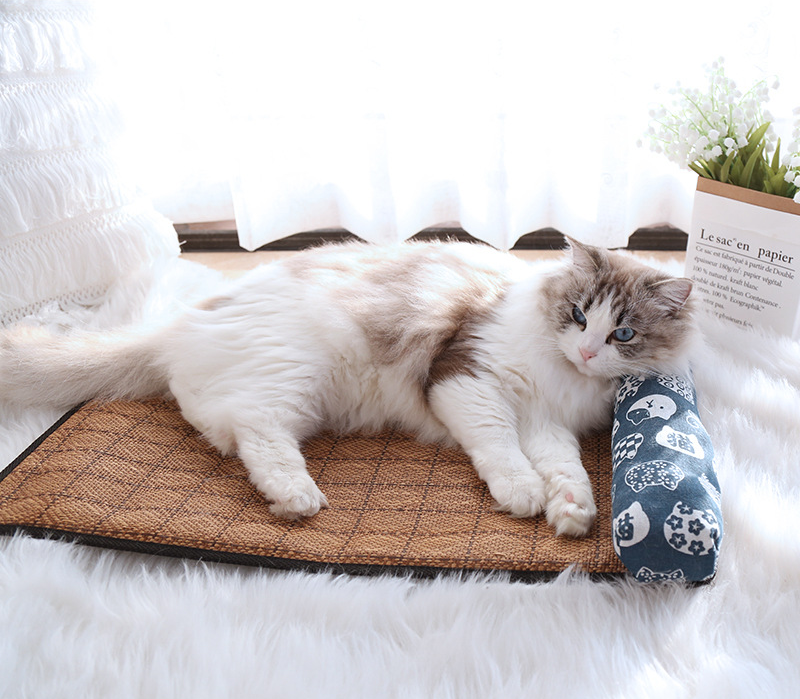 🐾 Pet Cooling Mat with Pillow – Comfortable Summer Bed for Cats