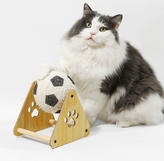 🐾 Pet Cat Scratching Ball – Fun & Durable Play Toy
