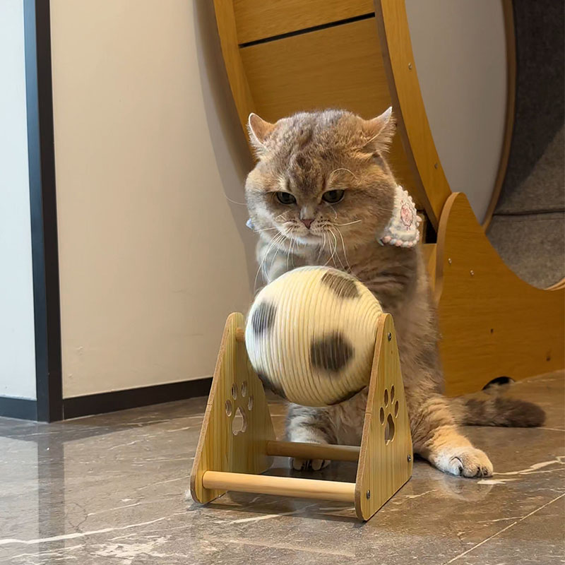 🐾 Pet Cat Scratching Ball – Fun & Durable Play Toy